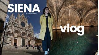 Day Trip to Siena, Italy!  ** so beautiful!! **