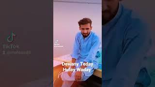 Dewany Teday Hulay Waday Hain  New Short Video 2022