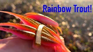 Making a Triple, Rainbow Trout!!!