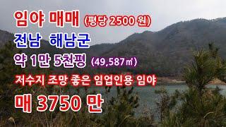 임야매매 해남군 저수지조망이 좋은 임업인용 임야매매