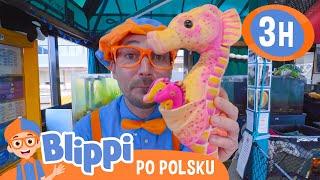 Blippi spotyka morskie stworzeniaBlippi po polskuNauka i zabawa dla Dzieci