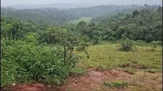 2 acre state highway approach land for sale in Sakleshpura