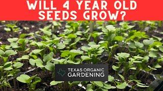 Will old seeds grow? Seed Starting Basics - Texas Organic Gardening