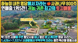 [매물번호 639] 강원도 급매물 "토지매매" 8,965㎡2,712평 매우 저렴한 대형 명당 토지!사과나무 800주로 연매출 최대 1억 5천! 귀농·귀촌 최적지! "홍천부동산"