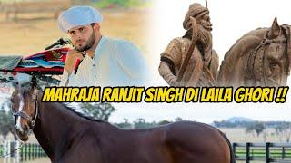 Asp_e_ Laila Mahraja Ranjit Singh Di Ghori //Zaibi Hanjra #zaibihanjra #punjabi