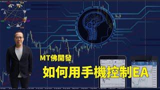 【MT佛开发】｜手机控制EA｜如何用手机摇钱术｜#MT4 #MT5｜ 绝密公开 【#MT佛老高 #EA程式交易 #我要学积木开发 #自主交易#EABuilder】(教学使用)