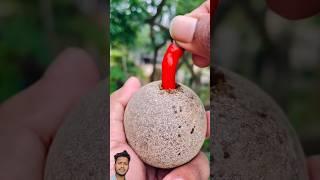 Mouth-Watering Masala Woodapple (Kodbel) | #shorts #food #masala #woodapple