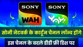 Wah & SONY Yay Channel New Update 2025 | DD Free Dish New Update Today