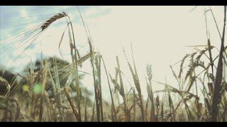 Windmill || Rural || Agriculture || no copyright video