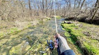 A BIG TROUT Lives in This Small Creek! (trout fishing)