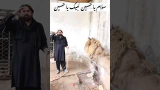 Salam Ho Parachinar Ke Hussainiyon Par | Salam Ya Hussain as