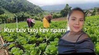 Kuv txiv txoj kev npam 11-16-24