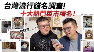 【台灣流行貓名調查！十大熱門菜市場名！】志銘與狸貓