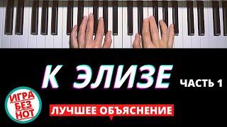 КАК ИГРАТЬ К ЭЛИЗЕ Beethoven’s ‘Für Elise’ TUTORIAL, PART 1