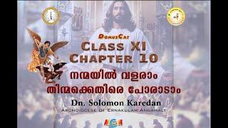 DOMUSCAT | CATECHISM CLASS 11 NEW TEXTBOOK | CHAPTER 10 | ERNAKULAM-ANGAMALY ARCHDIOCESE