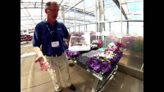 Spring Trials: A virtual tour from Mark Seguin of Sakata Ornamentals