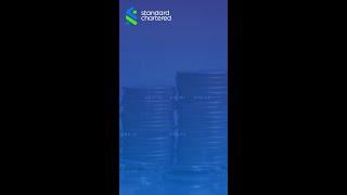 Investor’s Guide | Hybrid Funds | Balancing Risk and Return | Standard Chartered