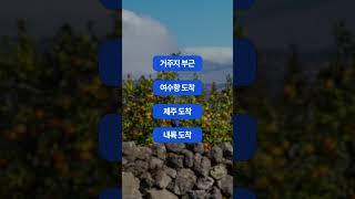 떠나요 둘이서~  경치좋은 제주를 왔다갔다 하는 노선이 있다. #더나은물류