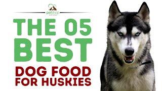 The Best Dog Foods For Huskies