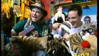 Zig and Zag meet two Tiger cubs