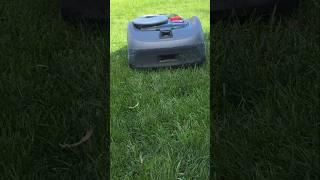 Segway Navimow mowing the lawn #navimow