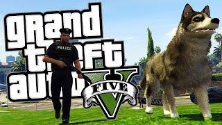 GTA 5 PC Mods - I AM THE LAW! - GTA 5 SAPDFR/LSPDFR Police Mod Gameplay (Gta 5 Gameplay Highlights)