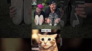 Give this video title (waring answer) #cat  #memes  #trending  Mr bombastic cat??