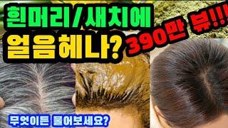 [390만 뷰 !!!] 얼음/아이스 헤나? 쉽고 간단하게 흰머리/ 새치 고민 끝!!! 천연헤나염색의 이모저모 무엇이든 물어보세요?  Over 3,900,000 views