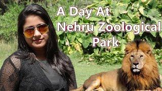 A Day at Nehru Zoological Park Hyderabad | BeautyBites