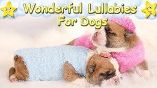 Dog Music Relaxing Sleep Music For English Bulldog Puppies  Calm Relax Your Dog  Lullaby For Pets