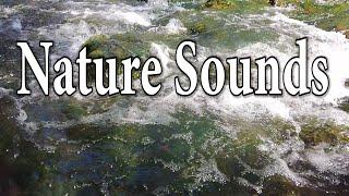 Relaxing Sound of Water - 1 Hour Nature Sounds Relaxation - Meditation.