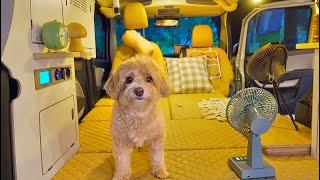 From the perspective of a dog | Whoopi's camping diary