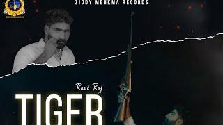 Tiger (Teaser) |