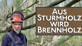 Aus Sturmholz wird Brennholz, WARN Seilwinde am Landrover Defender ist hierfür auch perfekt geeignet