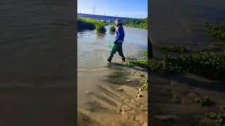 how to throw cast net for fishing , skills #fishingvideo #viral #shorts