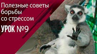 Урок 9 Способы борьбы со стрессом