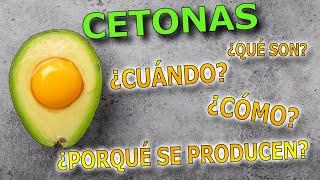 CETONAS ️ - ¿Qué son?  -  Cetosis nutricional / Dieta cetogénica  - EL ENDOCRINO