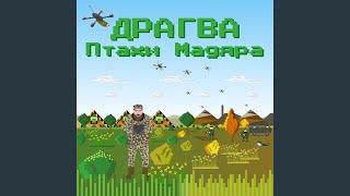 Птахи Мадяра