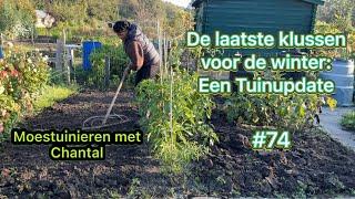 Mijn moestuin avontuur #74 De laatste klussen voor de winter: een tuinupdate.