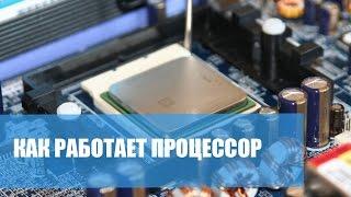 КАК РАБОТАЕТ ПРОЦЕССОР