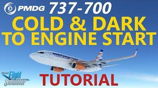 MSFS | PMDG 737 Tutorial Episode 1: Cold & Dark to Engine Start - including Route Input!