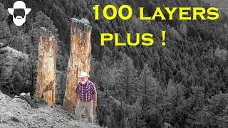 Explore Numerous Layers of Petrified Trees: Yellowstone National Park