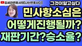 김세라변호사의 나는변호사다 제17화 "항소심은 어떻게 진행될까? 변호사 바꿔야 할까?"