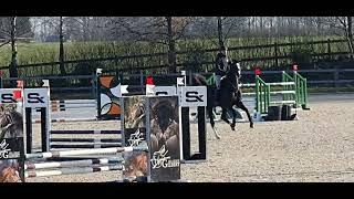Done to Win - Stallion 2024 - Dominator Z