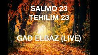 SALMO 23 GAD ELBAZ EN VIVO LYRICS ESPAÑOL FONETICA HEBREA