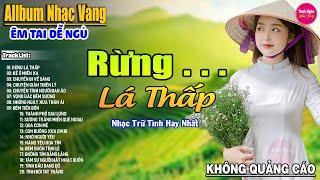 Rừng Lá Thấp  Liên Khúc Rumba Hải Ngoại Hay Nhất Vượt Thời Gian, Nghe Thử Một Lần Bạn Sẽ Nghiện