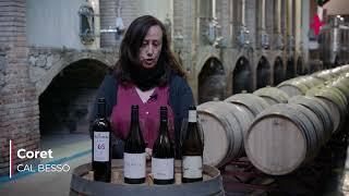 VÍDEO TAST - Vins de la DO Montsant elaborats majoritàriament amb garnatxes i amb criança