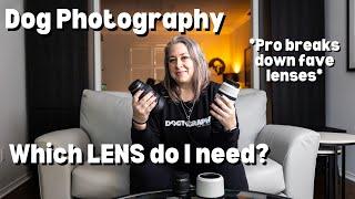 Dog Photography:  LENSES!  Which lens do you need, and WHY?  Pro break down what to look for