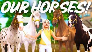 Meet My Horses! Personal, Lesson & More! II SSO RRP