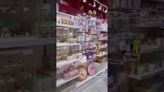 Japanese Store Vlog (EBISU Life Store)